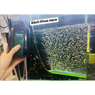 Thanh sủi Oxy dài đủ kích thước 20cm - 100cm cho bể cá