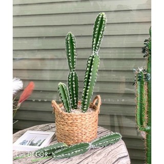 Sọt lục bình đựng cây, đồ dùng trang trí xinh decor