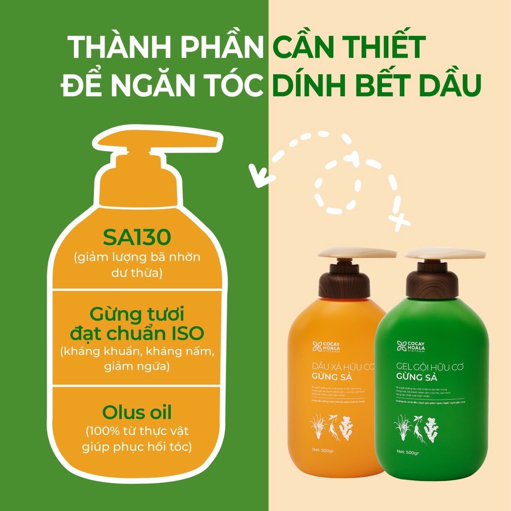 Dầu Gội Xả Hữu Cơ Gừng Sả Cocayhoala - Ngăn dầu bết tóc và giảm gàu giảm ngứa 500g