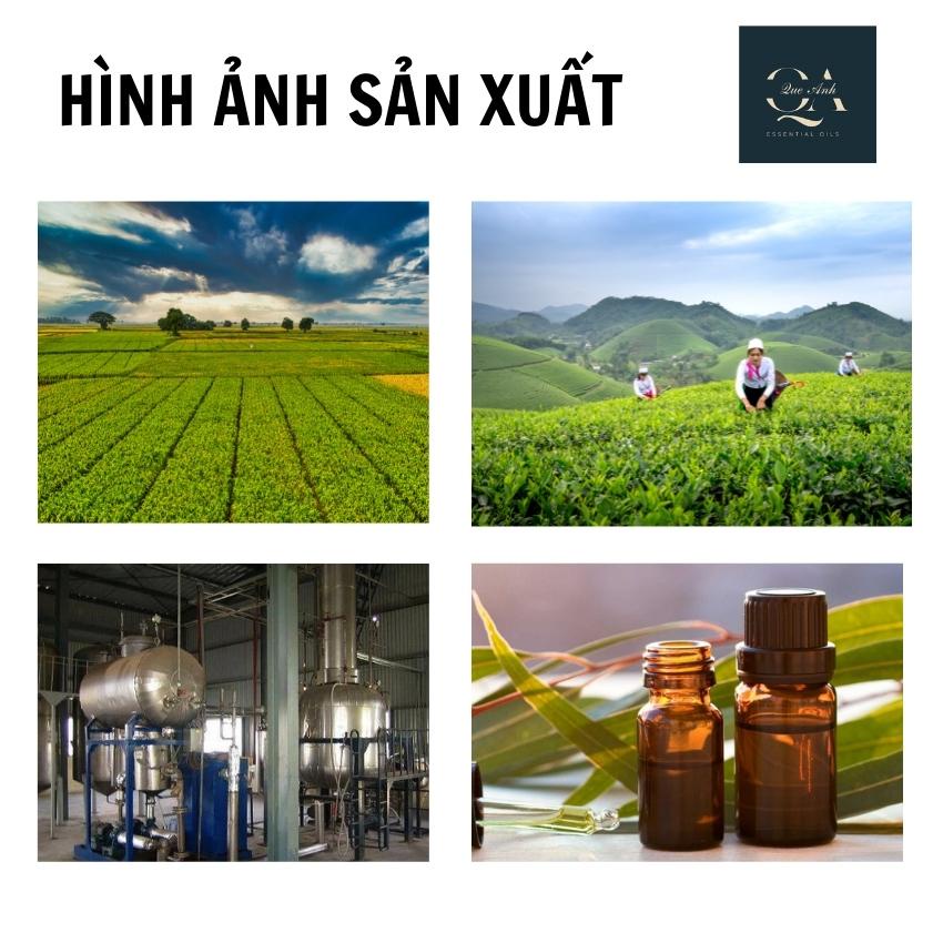 Tinh dầu hoa nhài nguyên chất thiên nhiên QA ORGANIC 10ml treo xe , tủ quần áo