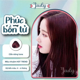 Thuốc nhuộm tóc màu Tím phúc bồn tử + tặng kèm oxy trợ nhuộm |Judyhairs tự nhuộm tóc tại nhà dễ dàng