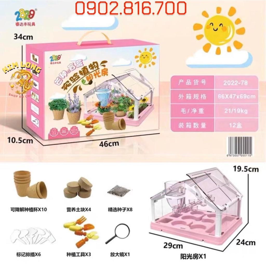 Bộ đồ chơi phát triển kỹ năng cho bé - Đồ chơi trồng cây trong nhà kính mini giúp bé quan sát sự phát triển của cây xanh
