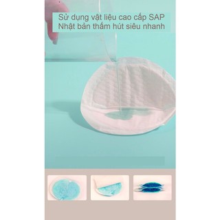 Miếng lót thấm sữa Cosy Present (Bịch 100 miếng)