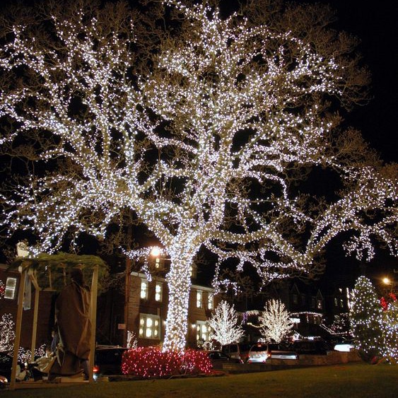 Combo led quấn cây và nguồn  trang trí ngoài trời