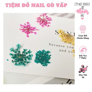 Hoa Khô Chùm Ẩn Gel