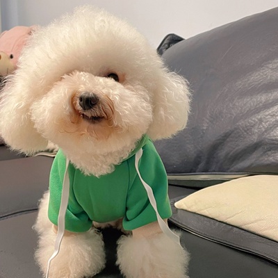 Áo mũ trùm tai thỏ dành cho thú cưng - Màu thật đậm hơn