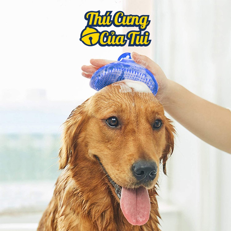 Bàn chải tắm cho chó mèo, găng tay massage chải lông thú cưng - Thú Cưng Của Tui