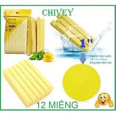 Bọt biển rửa mặt Bông nở rửa mặt (Bịch 12 miếng)