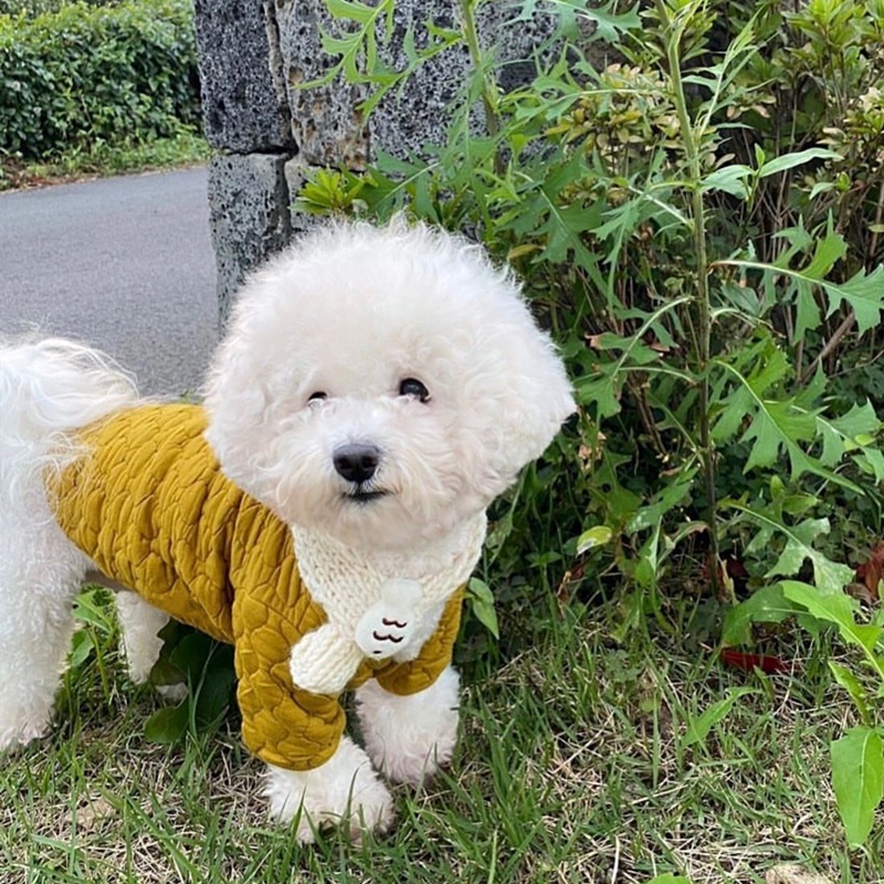 Áo Khoác Cotton Dày Ấm Áp Cho Thú Cưng Chó Mèo Poodle Pomeranian Schnauzer Yorkshire