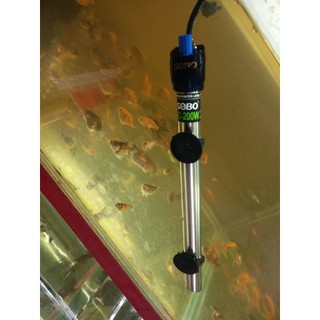 Cây sưởi hồ cá inox