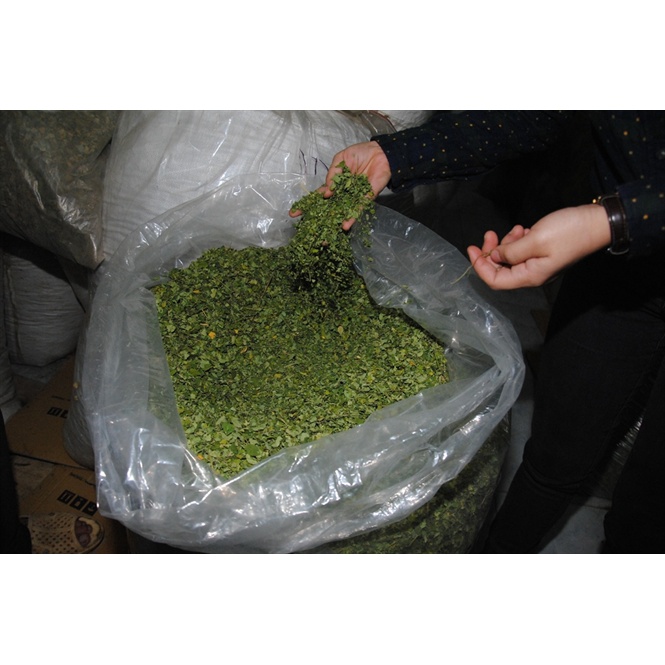 Lá chùm ngây sấy khô 200g