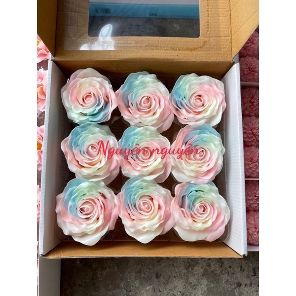 hoa dạ quang pastel