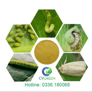 Thuốc trừsâu sinh học Bacillus thuringiensis