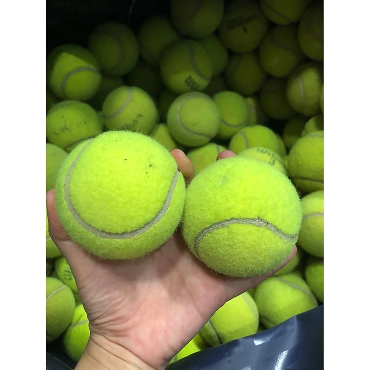 Bóng tennis dành cho trẻ em vui chơi và thú cưng
