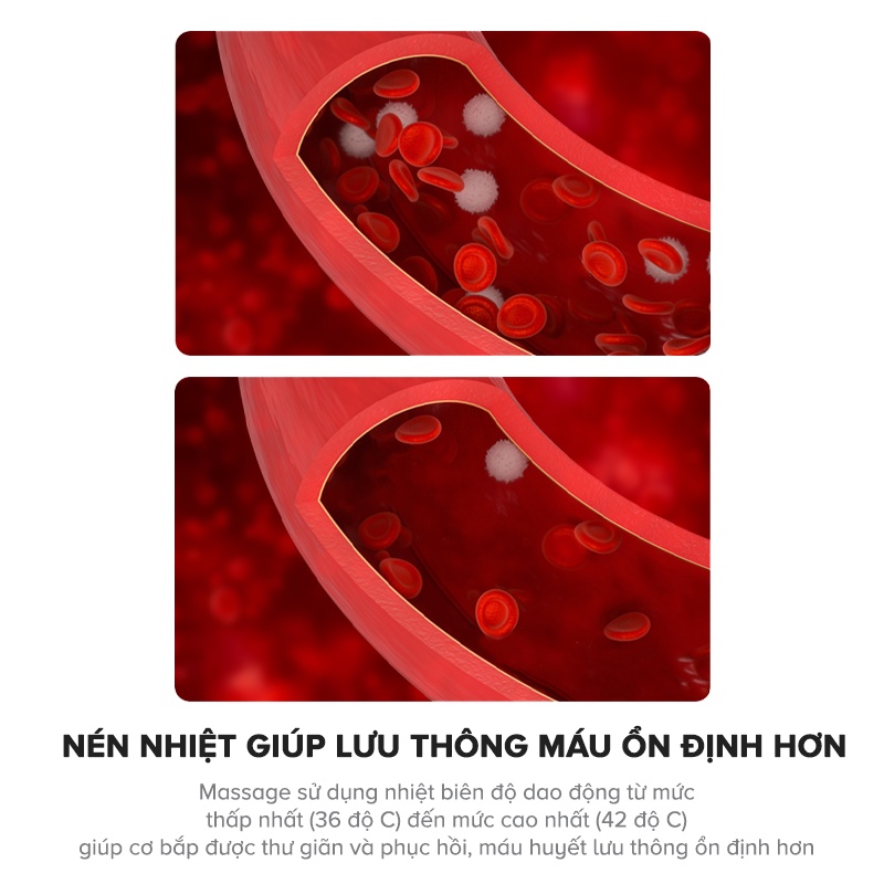 Máy Massage Lưng Không Dây Havit WM1750, Phương Pháp EMS &amp; Phục Hồi Nhiệt Y Khoa - Chính Hãng BH 12 Tháng Dizigear