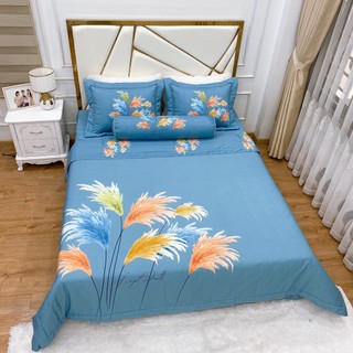 Trọn bộ chăn ga gối cotton trần phủ 5 món