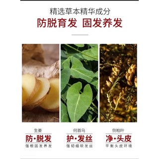 Cặp dầu gội/xả gừng 800ml - 800g/chai (tổng cộng 1600ml-g)