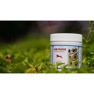 Combo chó con ăn dặm, chó mẹ bầu
