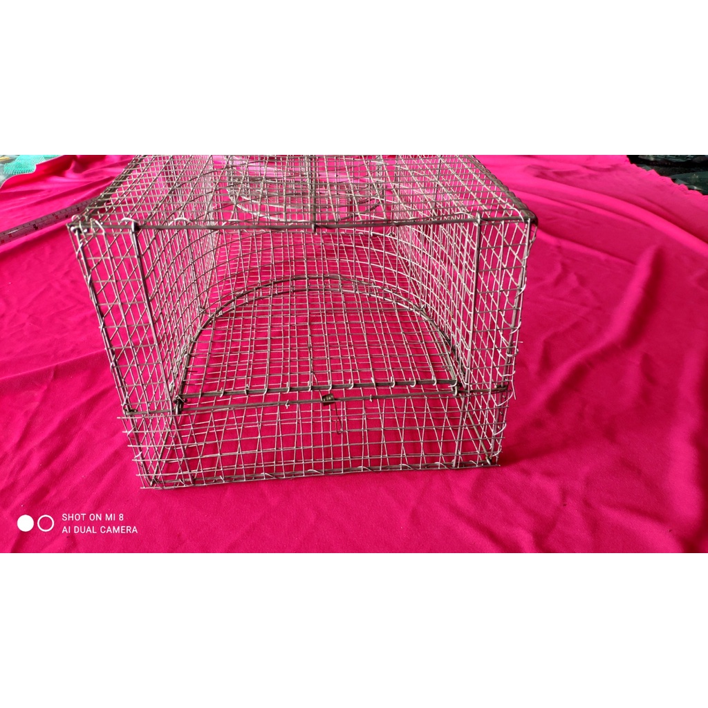 Bẫy Chuột Thông Minh 2 Đầu Vào Cực Nhạy