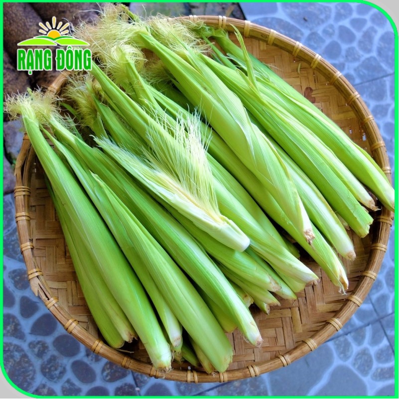 Hạt giống Bắp  nảy mầm tốt, sinh trưởng khỏe, Hạt giống rau củ quả trồng quanh năm - Hạt giống Rạng Đông