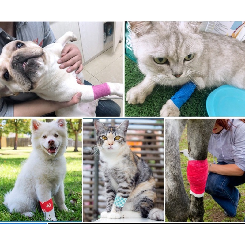 Băng quấn vết thương tự dính cho thú cưng / Cuộn băng thun bọc chân chó mèo/ Vải quấn bút ngón tay máy xăm