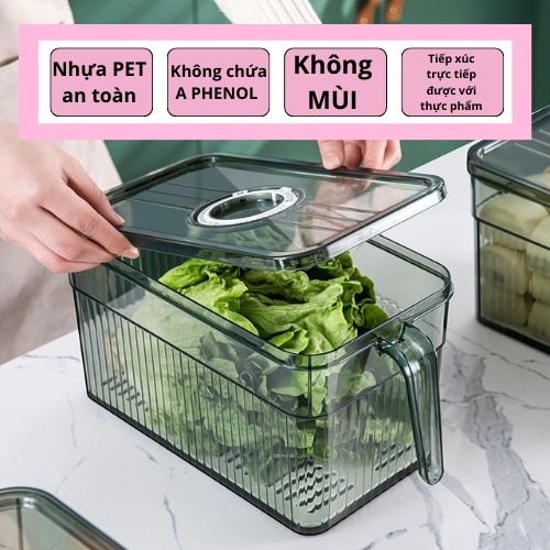 Hộp đựng rau củ quả thực phẩm tủ lạnh 3L & 5L có TAY CẦM, tách nước, vòng ghi nhớ thời gian lưu trữ tiện lợi