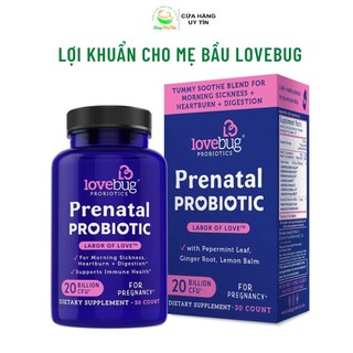 Lợi khuẩn cho mẹ bầu Lovebug Prenatal Probiotic 30 viên.