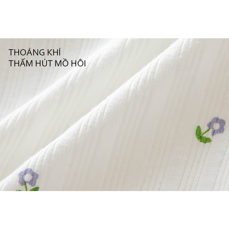 Quần lót nữ cotton viền ren mềm mại 341