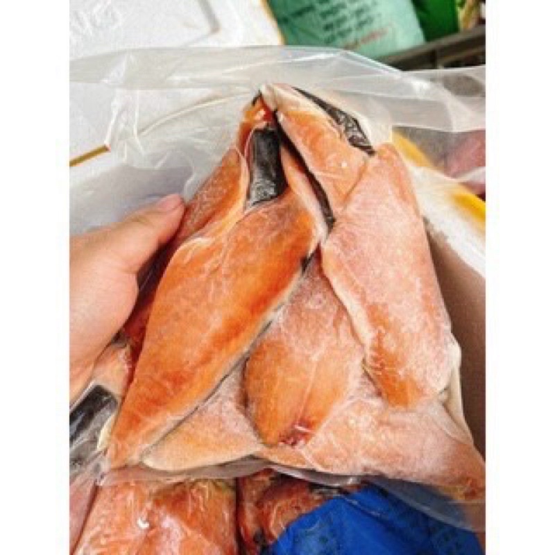 cá hồi vụn nhật 1kg💥TƯƠI NGON💥 giàu dinh dưỡng