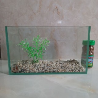 Bể cá mini (25×12×15), Bể cá nhỏ để bàn làm việc , Bể cá betta chia ngăn, Bể cá chọi.