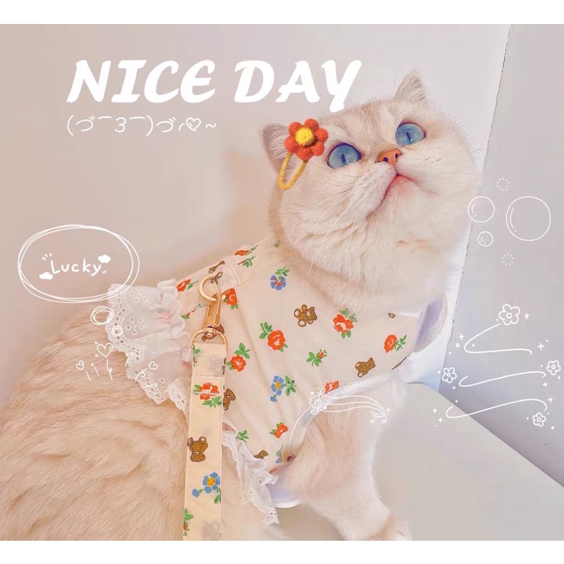 Dây dắt kèm Yếm cho Chó Mèo hoạ tiết Hoa nhí - Nhiều size, kích cỡ (Ảnh Thật)