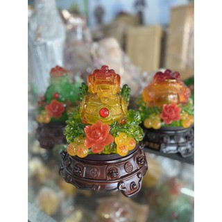Cóc, tì hưu đế đen đẹp