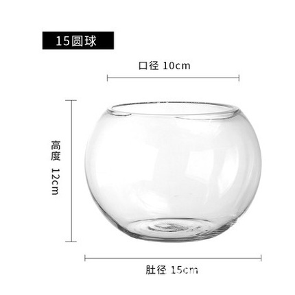 Bình Thủy Tinh tròn siêu trong_Chuyên dùng trồng cây thủy sinh, bể thủy sinh