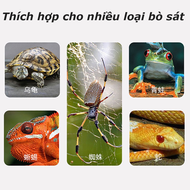 Kẹp đèn sưởi cho rùa và bò sát tia UVA UVB, tặng 75w bóng đèn sưởi cho thú cưng