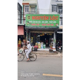 Combo 4kg cám cá chình thức ăn lươn bột