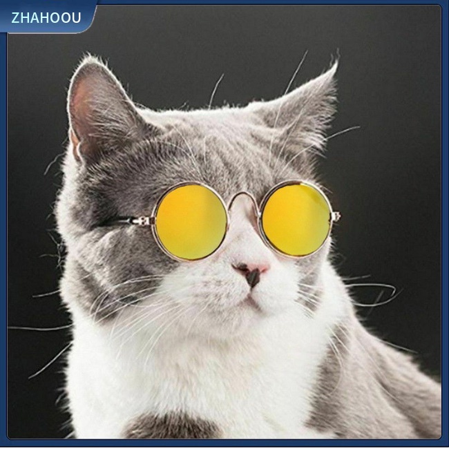 ☃Nhà☃ Kính Mát Hình Thú Cưng Đeo Kính Mát Ngộ Nghĩnh