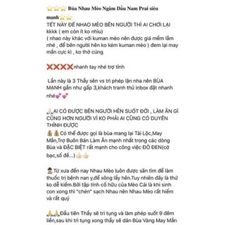 Mặt Dây Chuyền Nhao Mèo ( Tặng la may mắn + vòng tay )