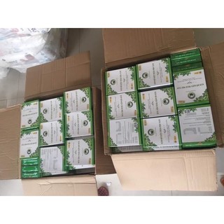 TĂNG CÂN SÂM BỔ KIỆN THẢO MỘC NAM [MẪU MỚI]
