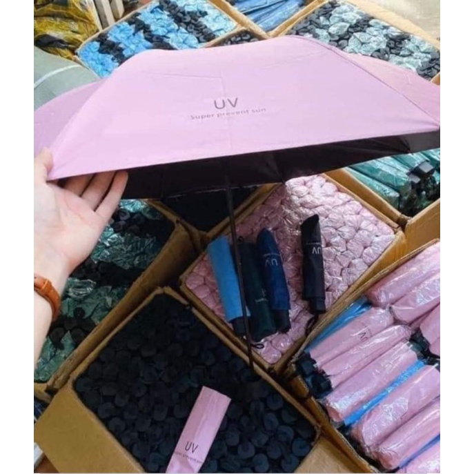 Ô Dù chống tia UV