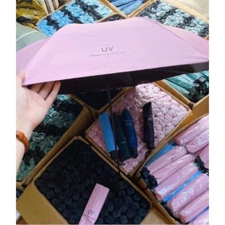 Ô Dù chống tia UV