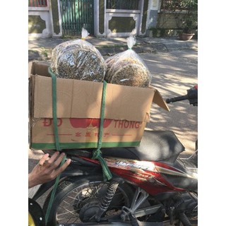 Combo 20 bánh đa nướng