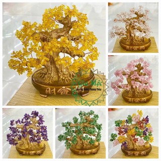 Cây Đá Tài Lộc Thần Tài ĐÁ TA tự nhiên trưng bày phòng khách , bàn làm việc bàn thờ thần tài