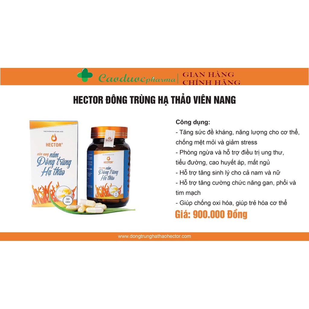 (CHÍNH HÃNG) Đông trùng hạ thảo Hector viên nang hộp 30 viên