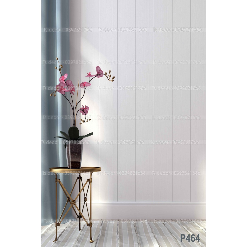 Phông Nền Livestream xu thế mới 3D 5D