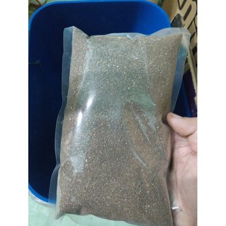 Cát Buddy Ấn cho Hamster gói 1Kg