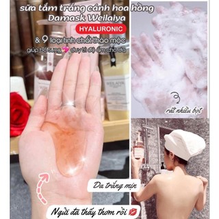 Weilaiya Sample - Mẫu Dùng Thử Tắm Gội Xả Hấp Mini
