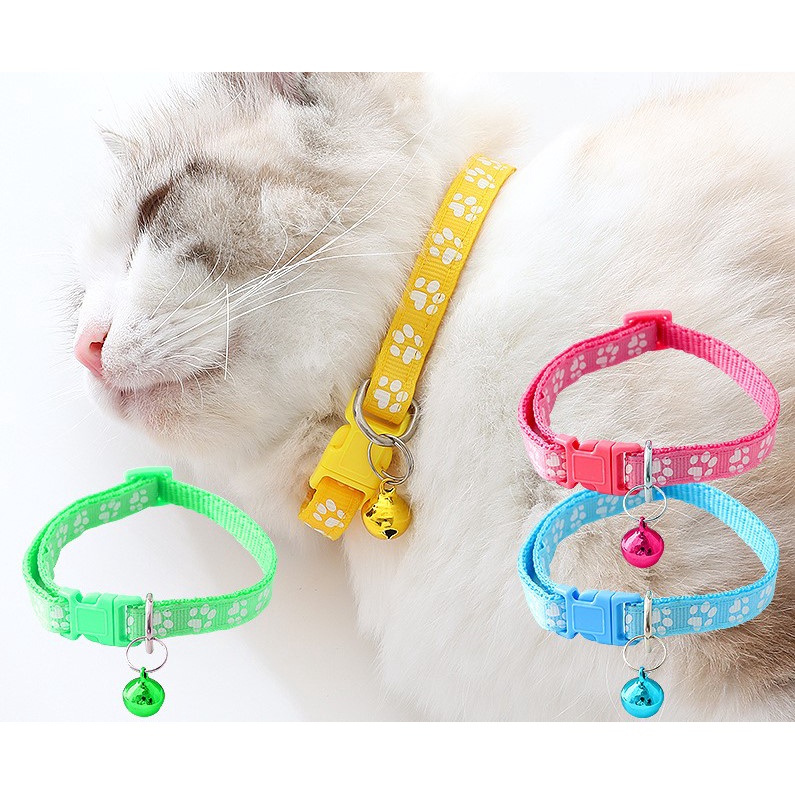 Vòng cổ cho chó mèo