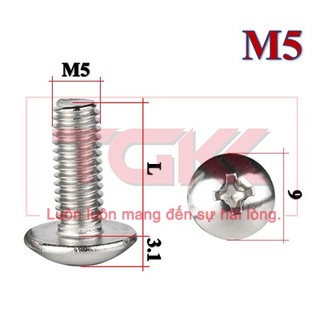 Bulong chỏm cầu to inox 201 M5