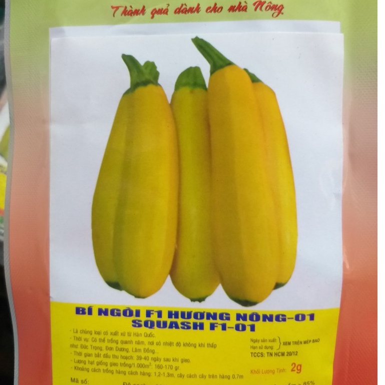 Hạt Giống Bí Ngồi Vàng (2g)