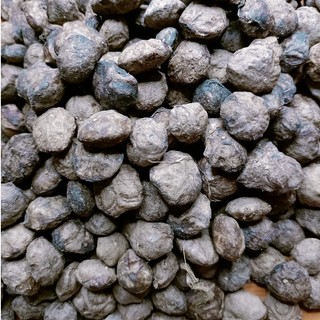 500 gram hạt sấu giống